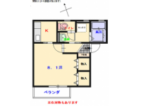 【ネット無料】全戸南向き角部屋！トイレには快適な温水洗浄便座付き！